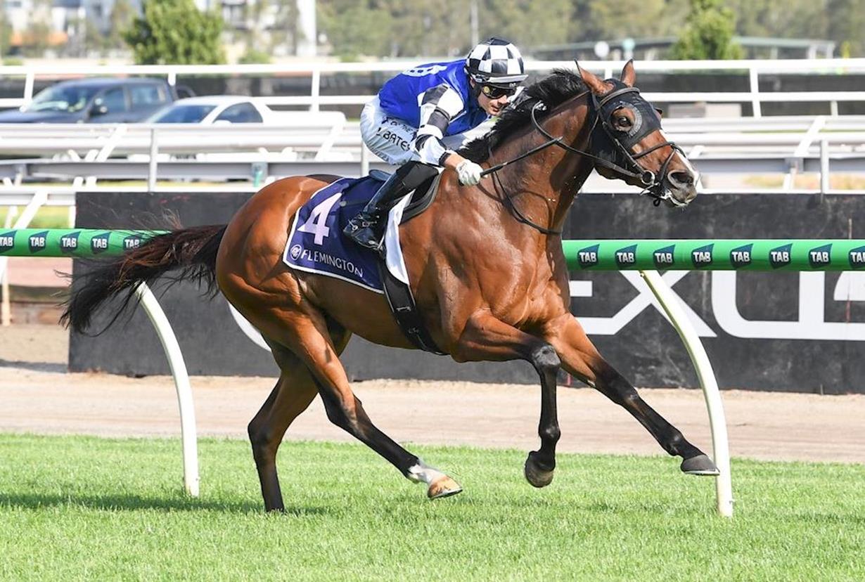 PORTER'S ALL GAS NO BRAKES